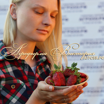 Земклуника \